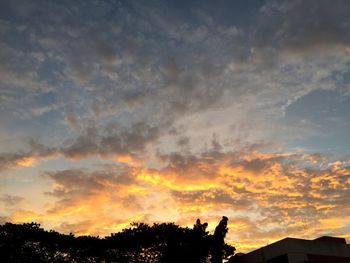 Silhouette trees against sky during sunset