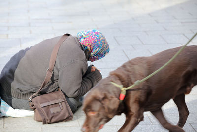 Low section of woman with dog sitting outdoors