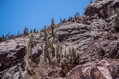 Low angle view of rocks against clear sky