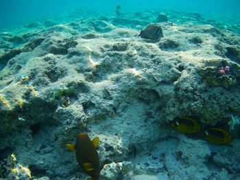 underwater