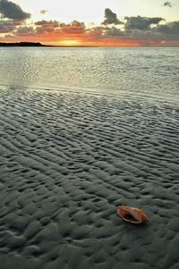 Scenic view of sea at sunset