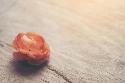 Close-up of orange rose on table