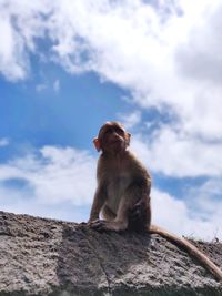 Monkey sitting on rock against sky