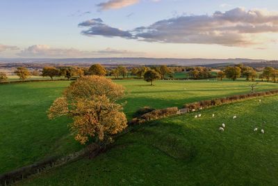 Scenic view of field against sky during sunset