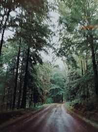 Road amidst trees against sky