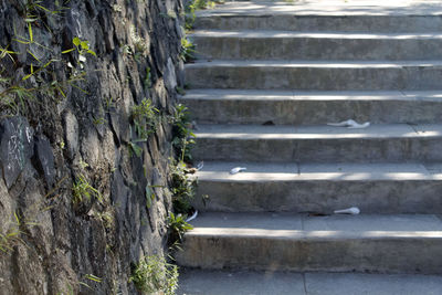 Close-up of steps