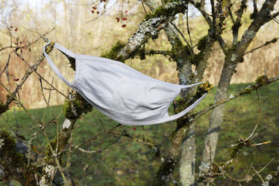 Facemask on branch