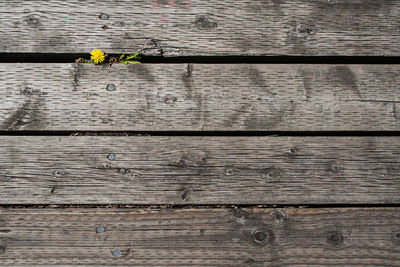 Wooden plank on wooden wall