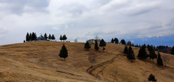 Panoramic view of land and trees on field against sky