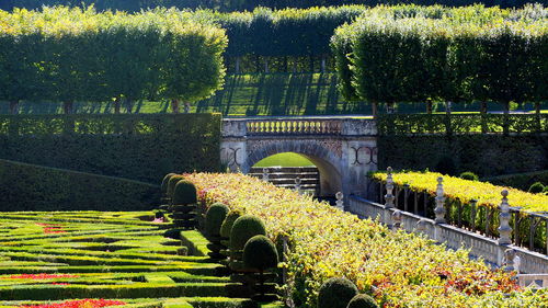 Arch bridge in garden