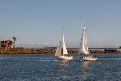 Sailboat sailing on sea against clear sky