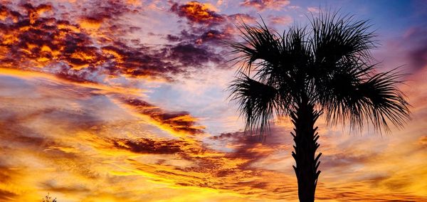 Low angle view of silhouette coconut palm tree against romantic sky