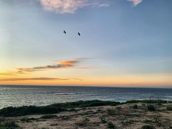 Scenic view of sea against sky during sunset