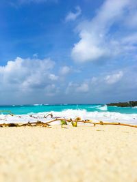 Scenic view of beach