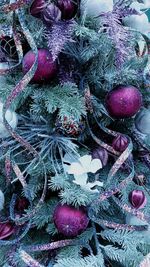 High angle view of christmas tree