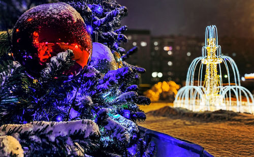 Illuminated christmas tree during winter at night