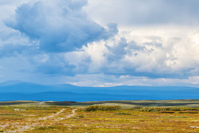 Hiking trail in a wild moorland with mountains in the horizon