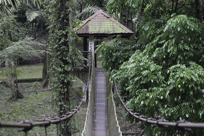 Gazebo amidst trees in park