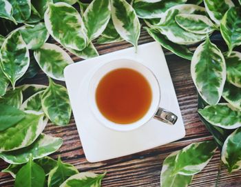 Directly above shot of tea served on table