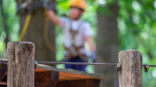 Rear view of boy on wooden fence