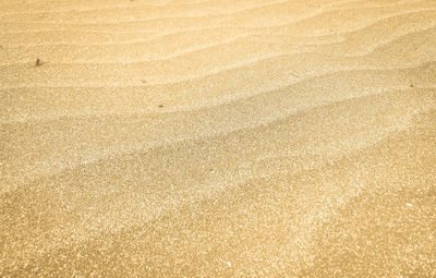 Close-up of sand background texture