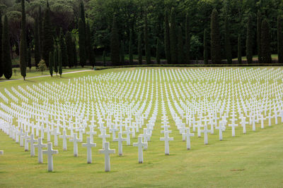 Usa military cemetery of second world war with crosses of dead soldiers resting in florence