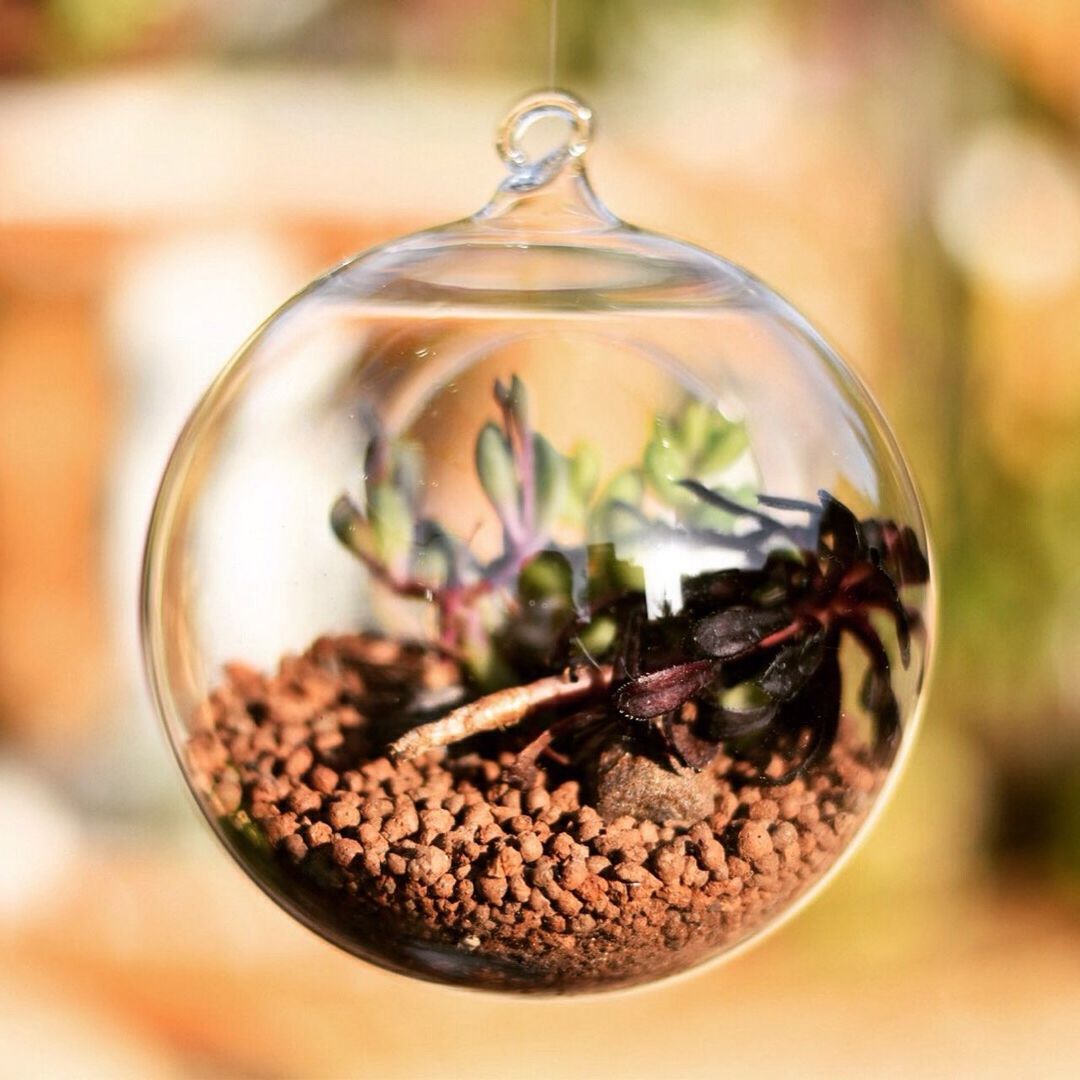 close-up, focus on foreground, selective focus, glass - material, transparent, food and drink, indoors, still life, freshness, sphere, no people, table, fragility, hanging, day, reflection, nature, glass, wineglass, jar