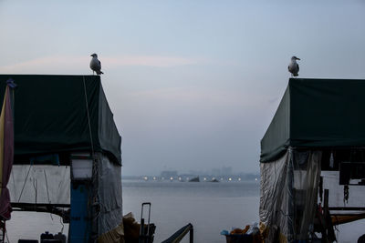 Seagulls perching on structure by sea against sky at sunset