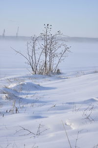 Scenic view of frozen sea against sky