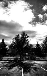 Road by trees against sky