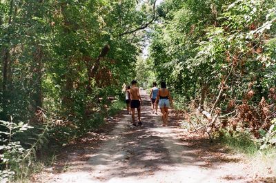 Rear view of people walking in forest