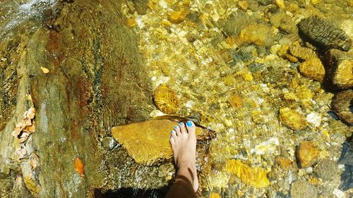 Low section of woman standing in water