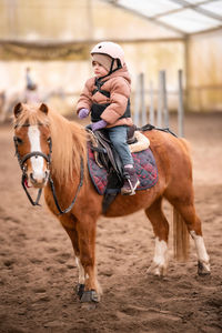 Rear view of woman riding horse