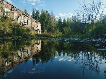 Reflection of trees in lake against sky