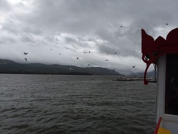 Birds flying over sea against sky