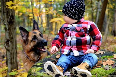 Full length of cute baby boy sitting on tree stump by dog in forest during autumn