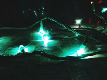 Close-up of illuminated swimming in sea