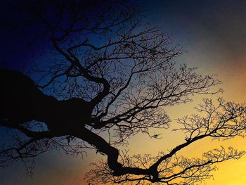 Low angle view of bare trees against sky