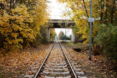 Railroad tracks amidst trees during autumn