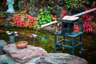 View of small rocks on rock by pond