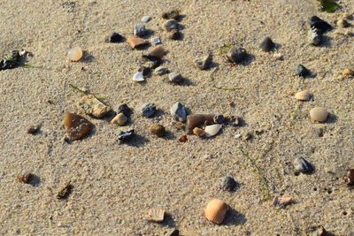 High angle view of sandy beach