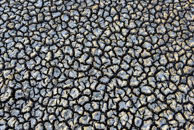 Full frame shot of stones