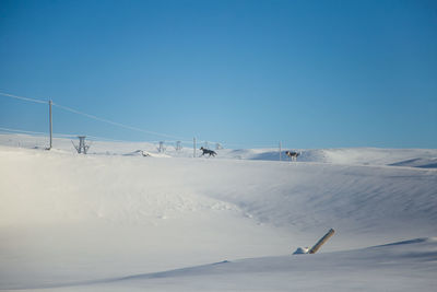 Snow covered landscape against clear blue sky