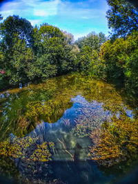 Reflection of trees in river against sky