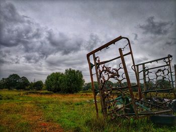 Plants on field against sky