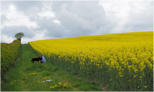 Scenic view of field against sky