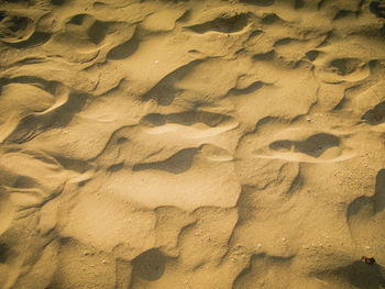 Full frame shot of wet sand