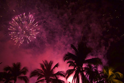 Low angle view of firework display at night