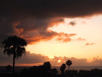 Silhouette palm trees against sky during sunset