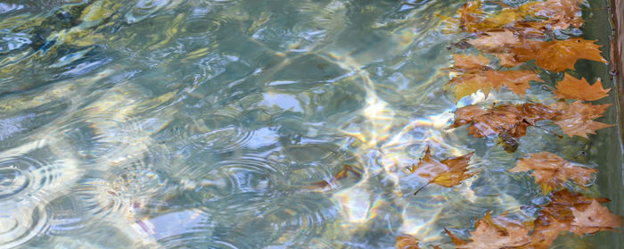 Full frame shot of swimming pool